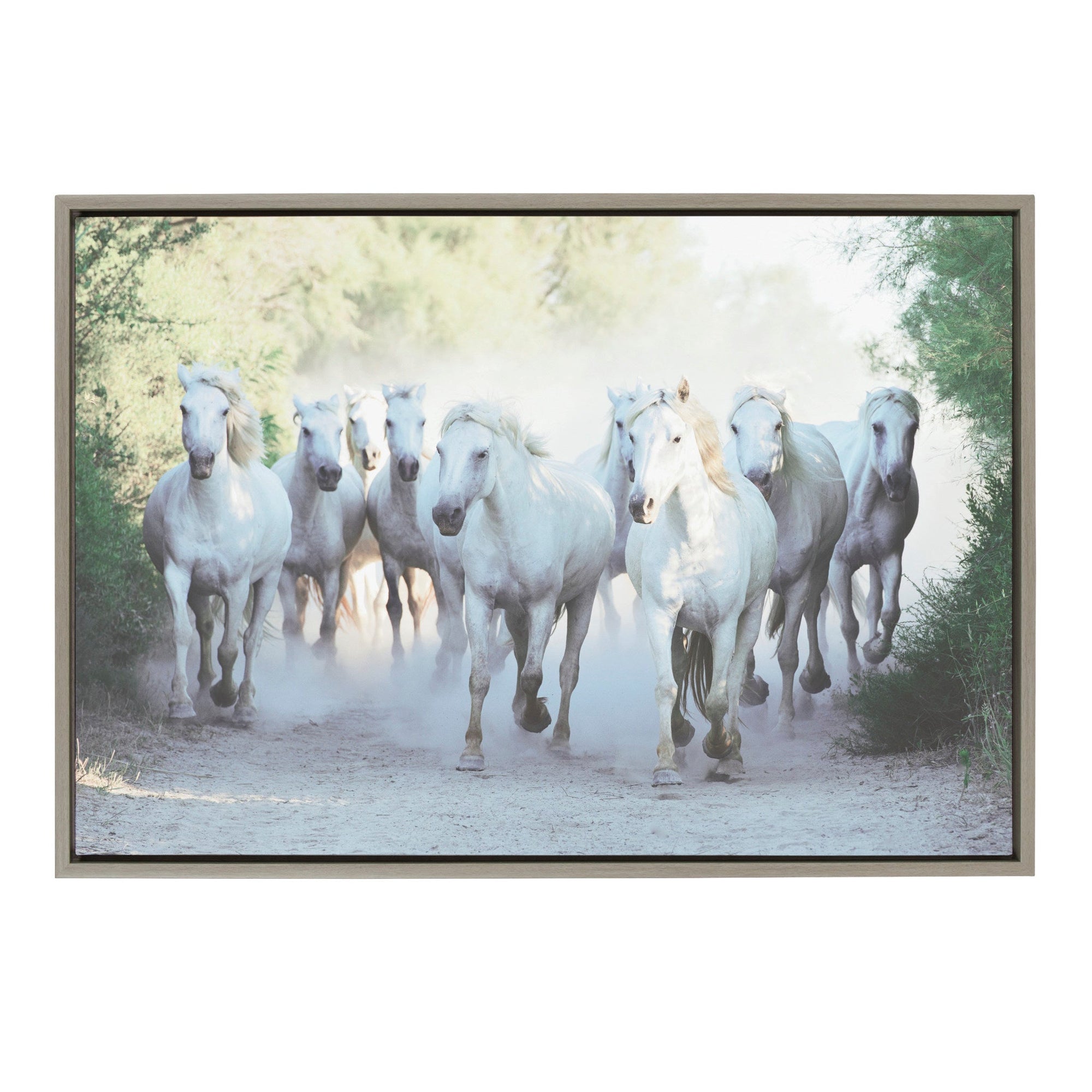 Sylvie Camargue Horses Framed Canvas by Laura Evans by kateandlaurel - main product image for Resin Society