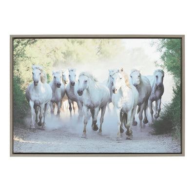 Sylvie Camargue Horses Framed Canvas by Laura Evans by kateandlaurel - main product image for Resin Society