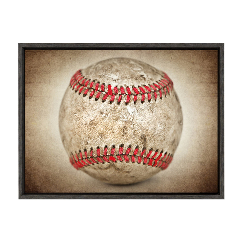 Sylvie Vintage Hardball Framed Canvas by kateandlaurel - main product image for Resin Society
