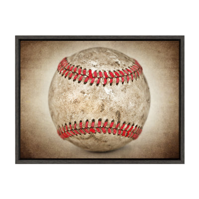 Sylvie Vintage Hardball Framed Canvas by kateandlaurel - product image 9 for Resin Society