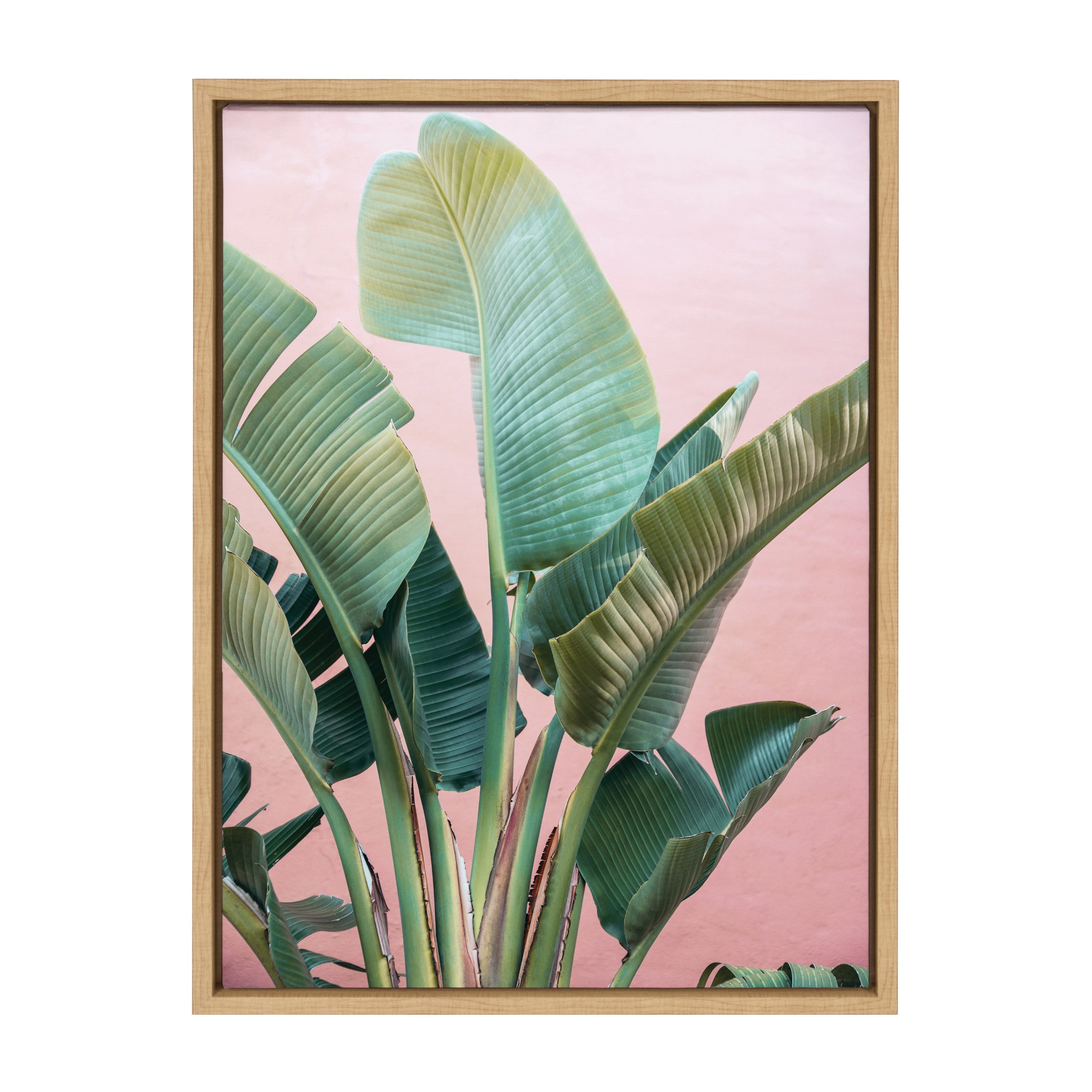 Sylvie Tropic Pink Framed Canvas by Alicia Bock