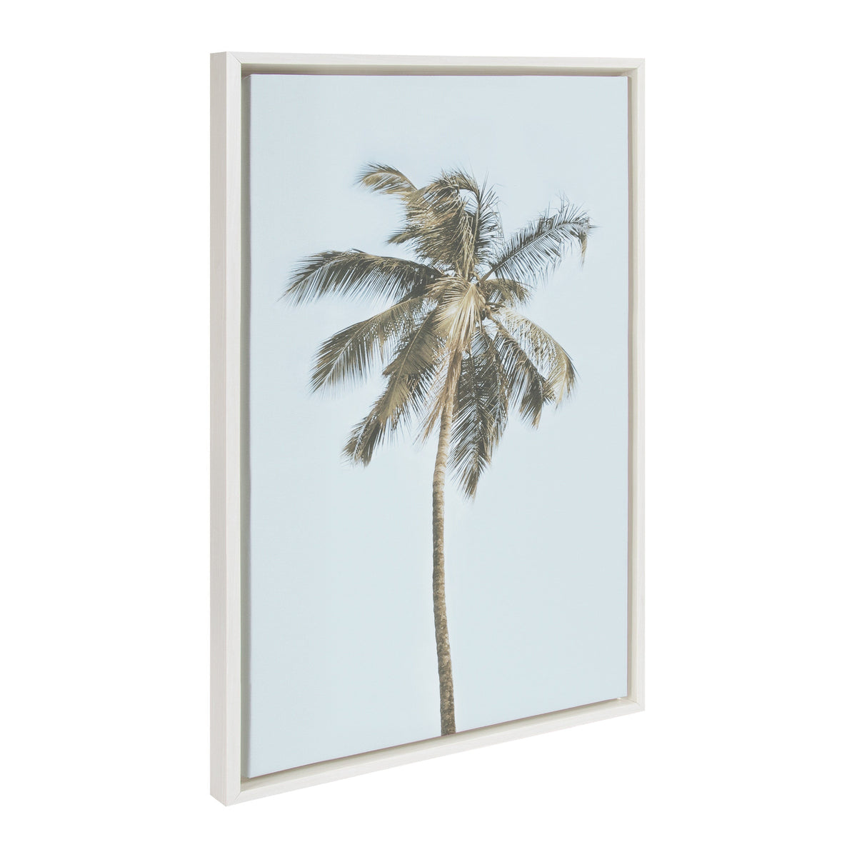 Sylvie One Coconut Palm Tree Framed Canvas by The Creative Bunch Studio by kateandlaurel - product image 2 for Resin Society