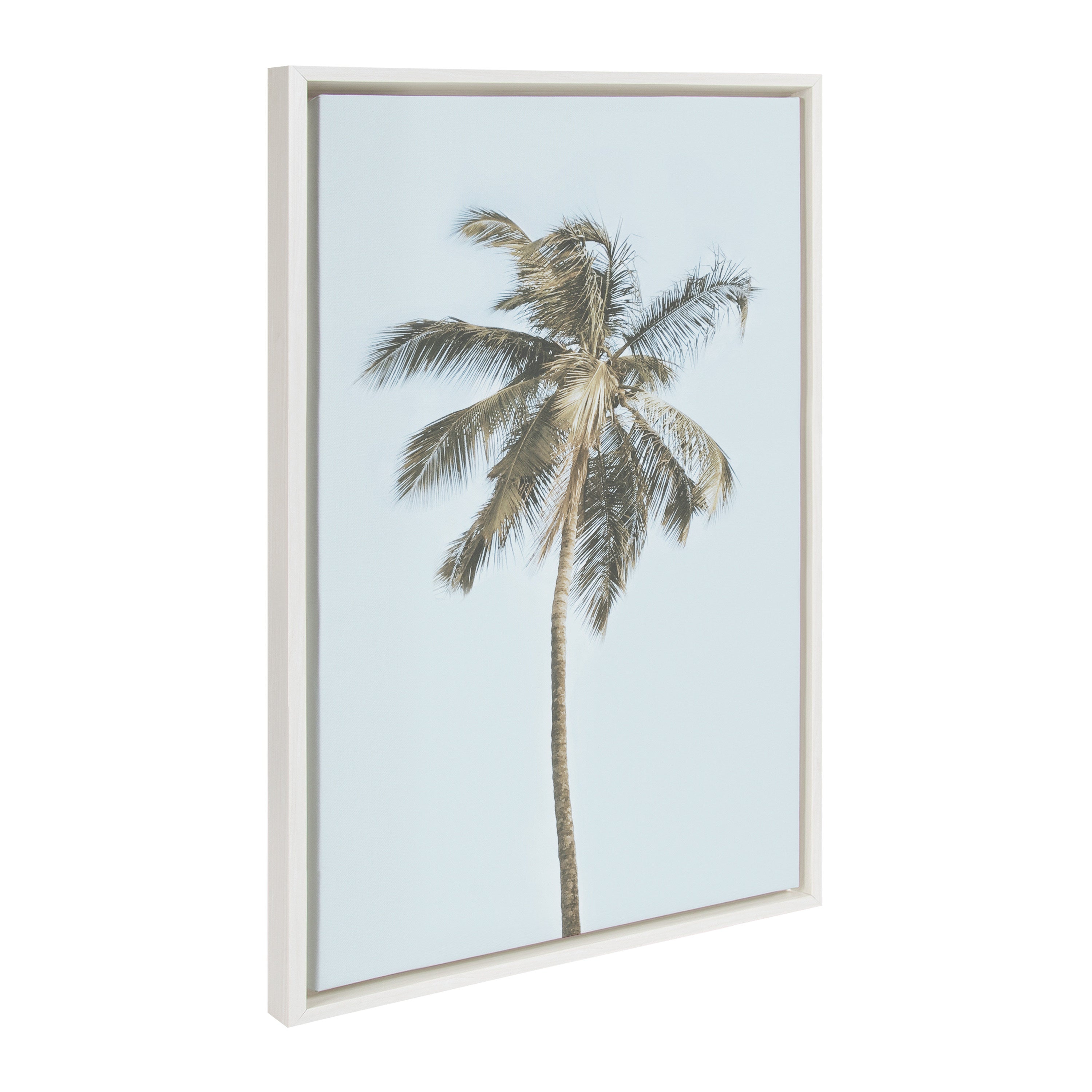 Sylvie One Coconut Palm Tree Framed Canvas by The Creative Bunch Studio by kateandlaurel - product image 2 for Resin Society