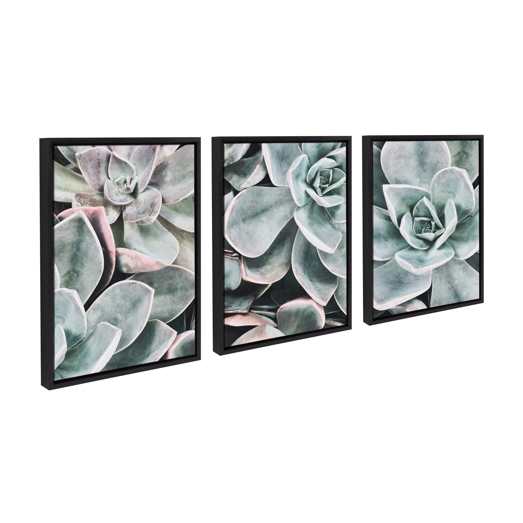 Sylvie Botanical Succulent Plants Framed Canvas Set by The Creative by kateandlaurel - product image 2 for Resin Society