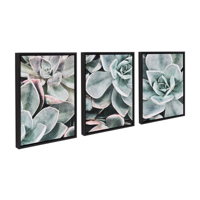 Sylvie Botanical Succulent Plants Framed Canvas Set by The Creative by kateandlaurel - product image 2 for Resin Society