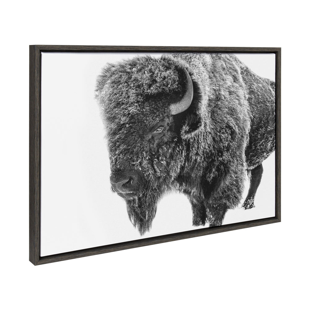 Sylvie Bison in Snow black and white framed canvas art depicting a bison in snowy landscape