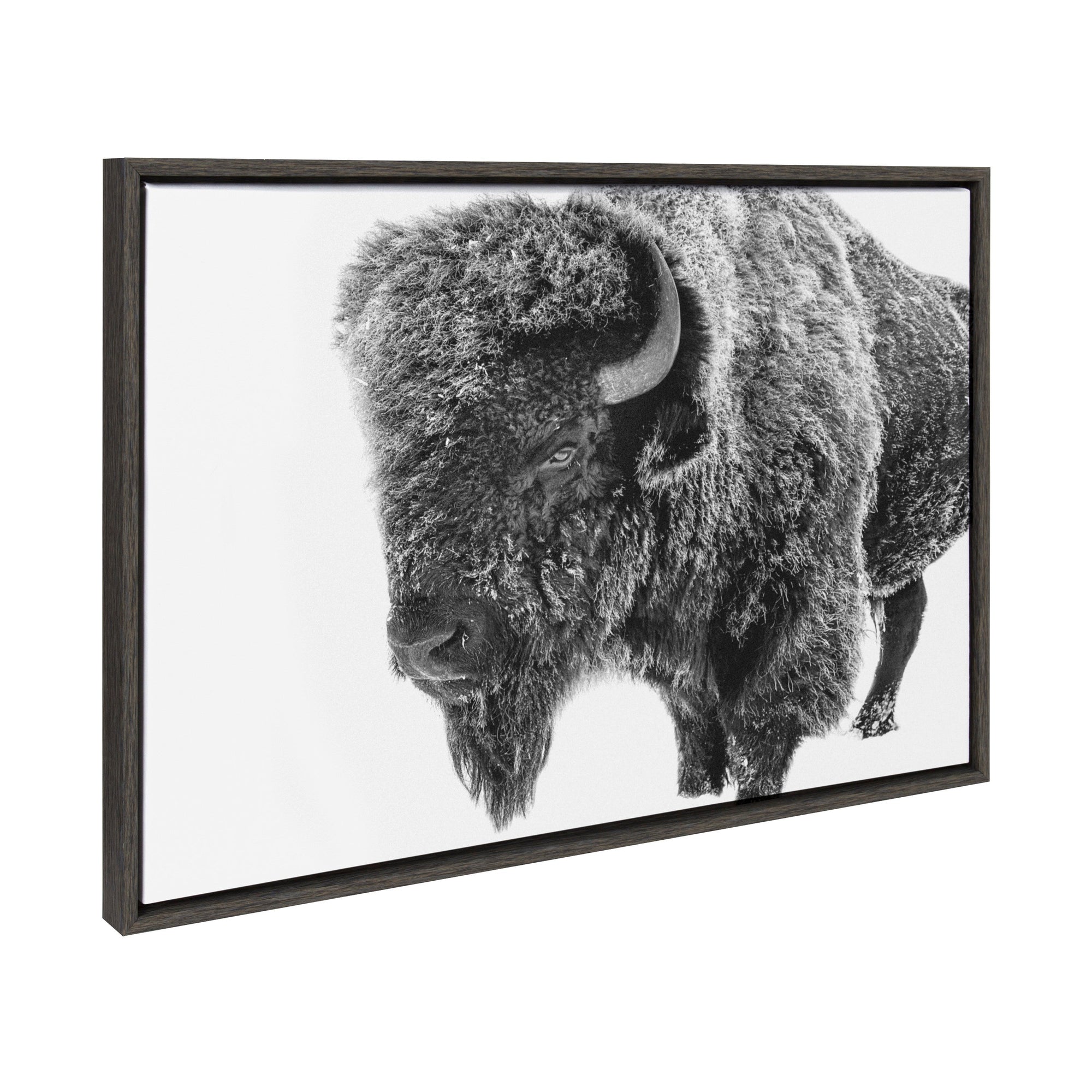 Sylvie Bison in Snow black and white framed canvas art depicting a bison in snowy landscape