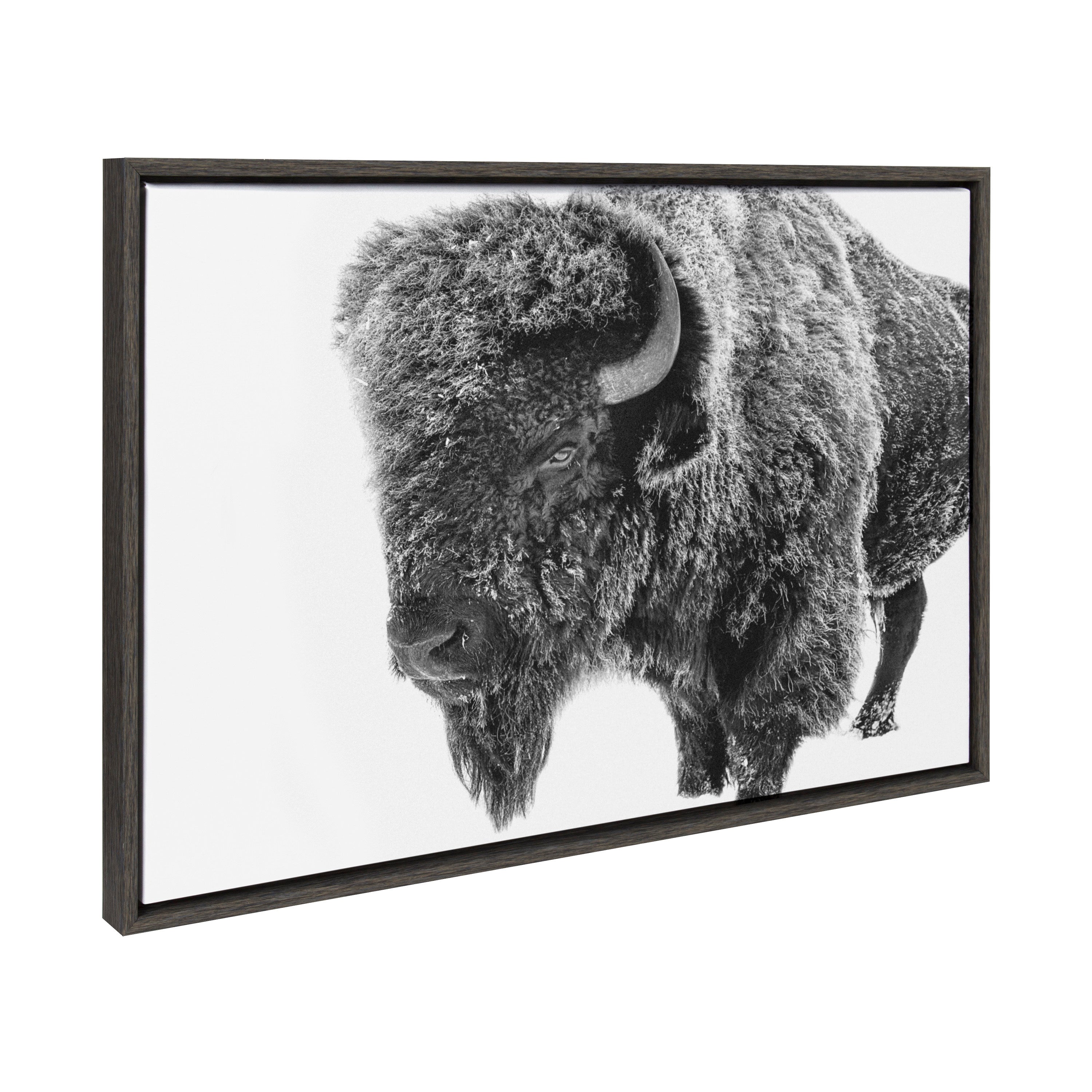 Sylvie Bison in Snow black and white framed canvas art depicting a bison in snowy landscape