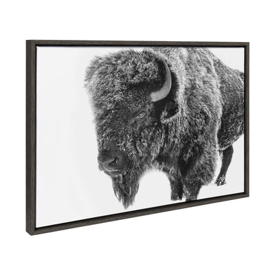 Sylvie Bison in Snow black and white framed canvas art depicting a bison in snowy landscape