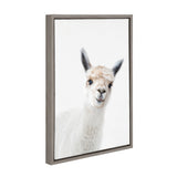 Framed canvas print featuring a close-up of a white alpaca with light brown ears and a textured wool coat, against a plain white background.