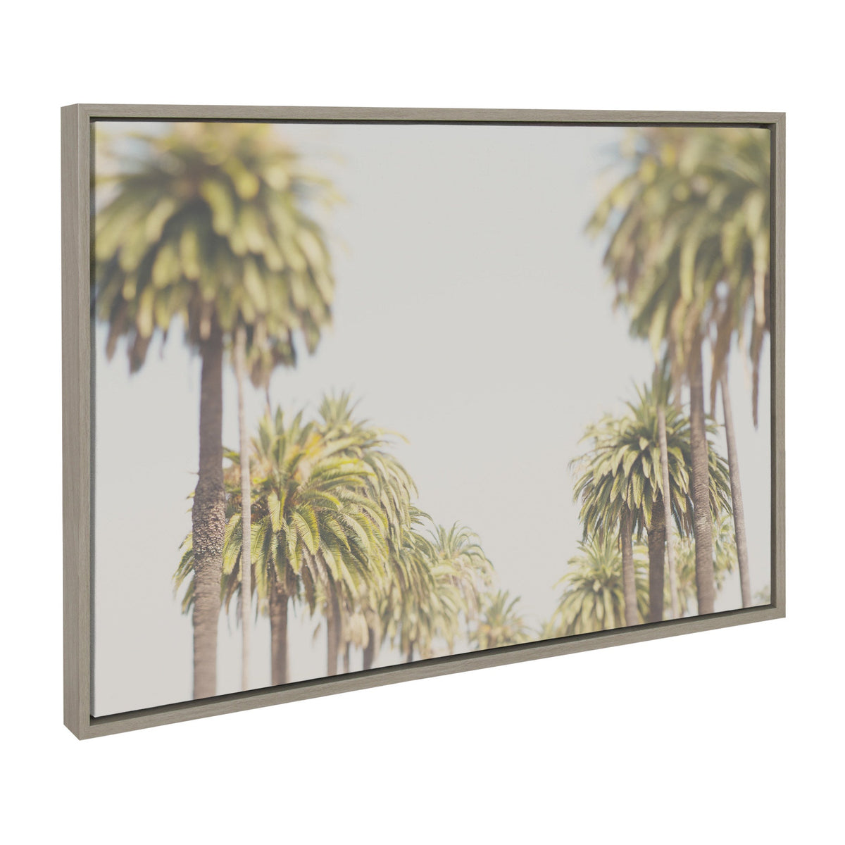 Sylvie LA California Palm Trees Framed Canvas by Laura Evans by kateandlaurel - product image 2 for Resin Society