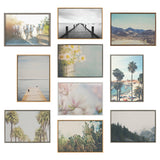 Grid of ten framed photos including white horses on dirt, black-and-white dock over water, daisy flowers in soft light, palm trees, and a cactus plant under sunlight.