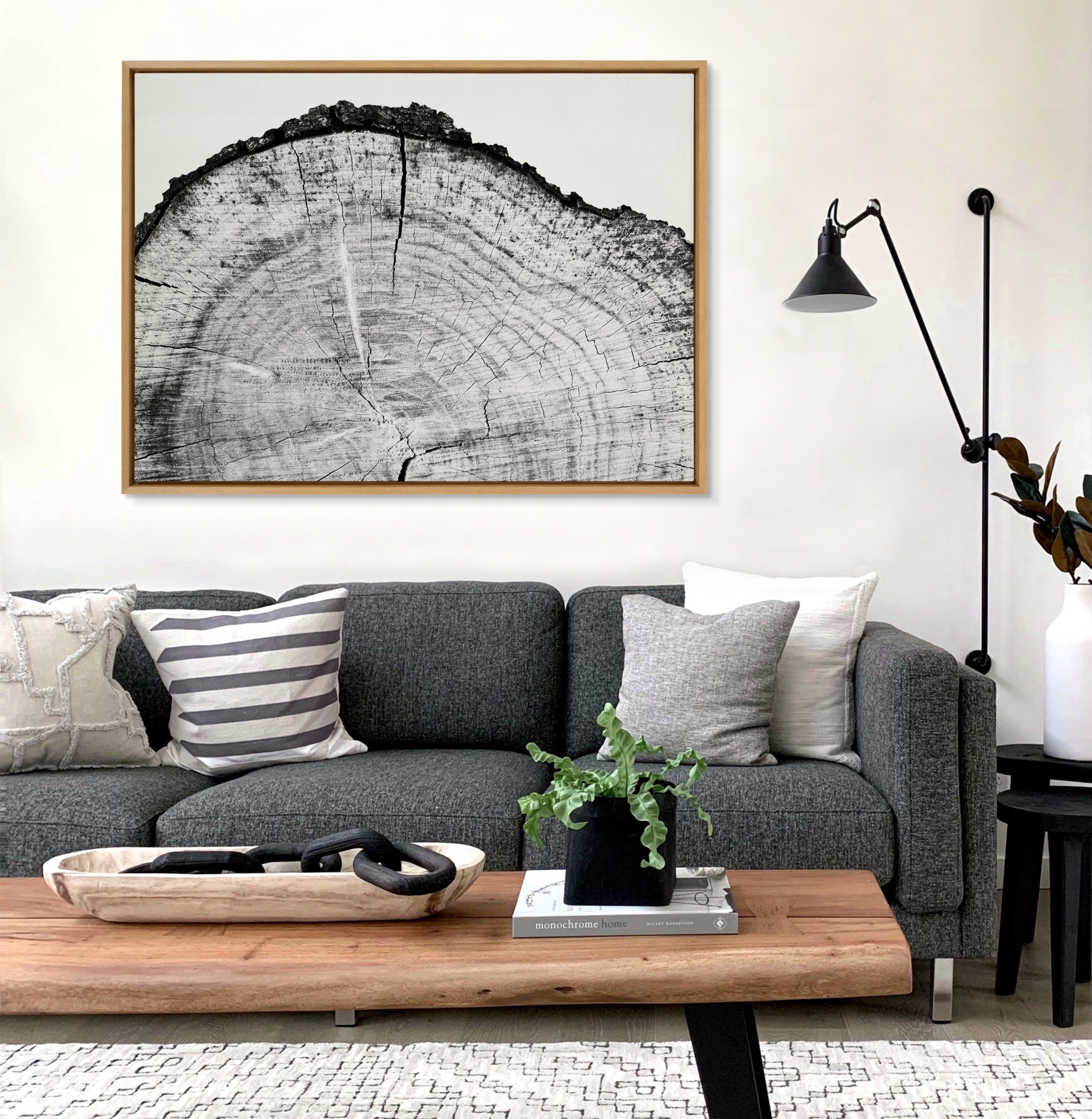 Sylvie Tree Rings BW Framed Canvas by kateandlaurel - product image 5 for Resin Society