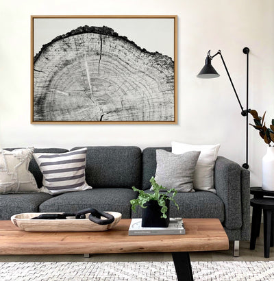 Sylvie Tree Rings BW Framed Canvas by kateandlaurel - product image 5 for Resin Society
