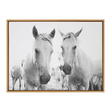Sylvie Camargue Horse XVII BW Framed Canvas by Laura Evans by kateandlaurel - main product image for Resin Society