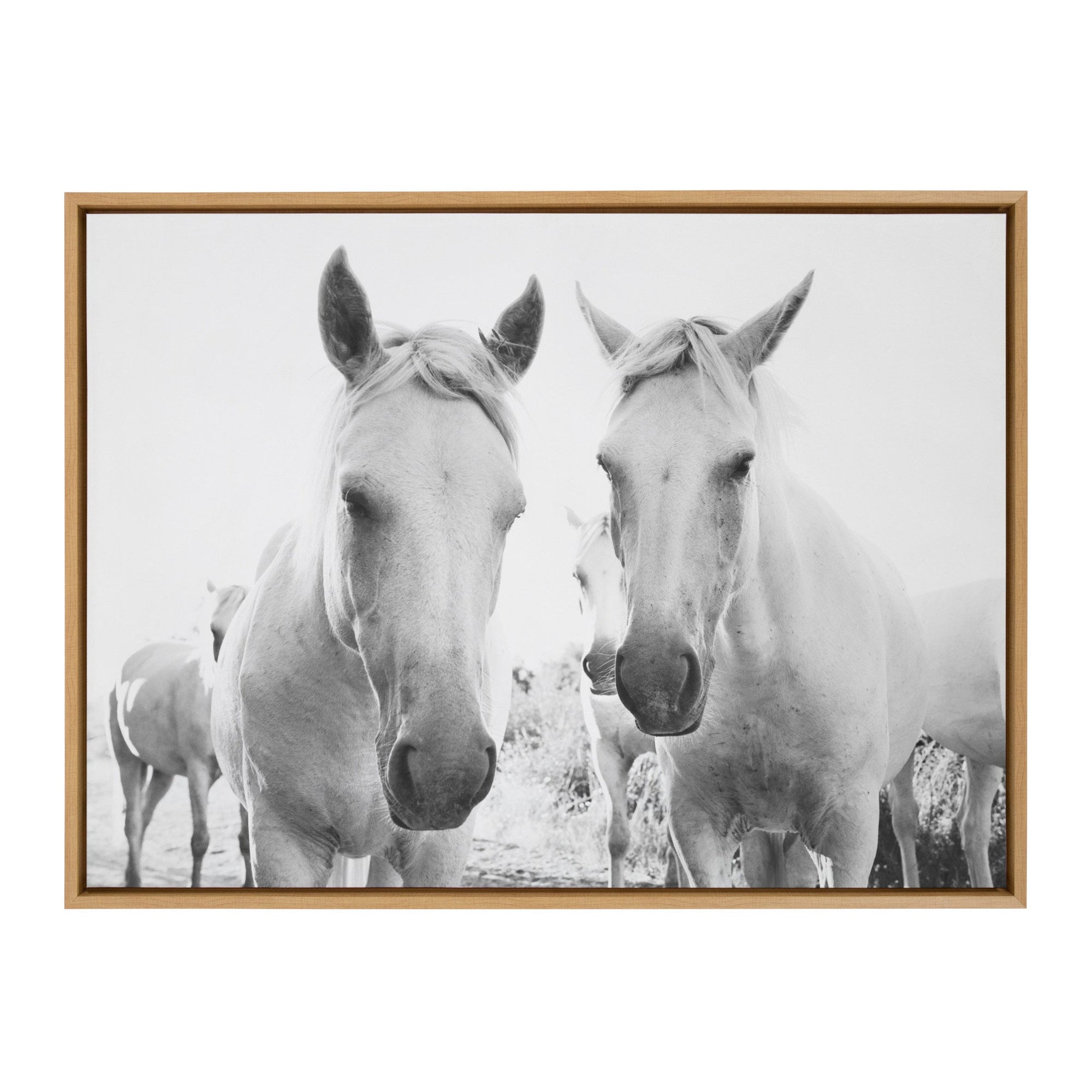 Sylvie Camargue Horse XVII BW Framed Canvas by Laura Evans by kateandlaurel - main product image for Resin Society