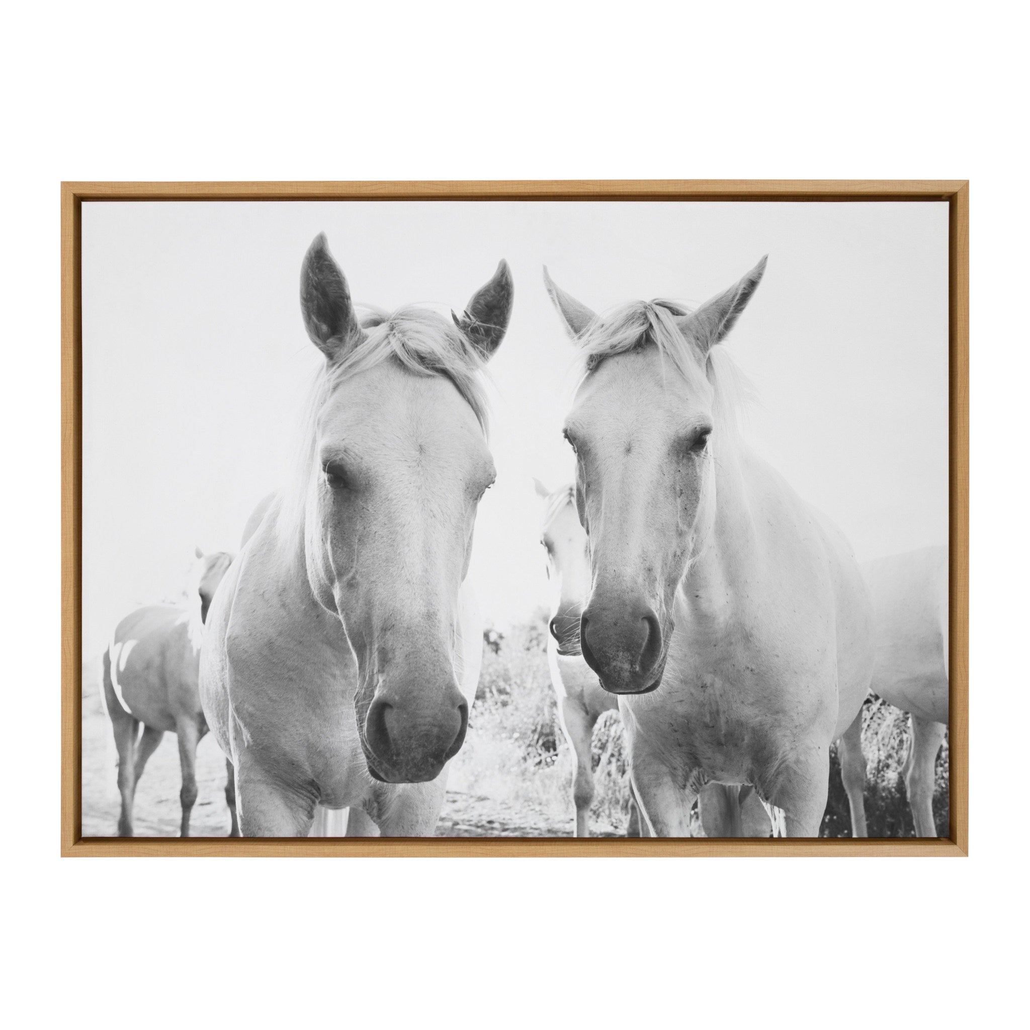 Sylvie Camargue Horse XVII BW Framed Canvas by Laura Evans by kateandlaurel - main product image for Resin Society