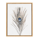 Sylvie Peacock Feather Framed Canvas by Simon Te showing a delicate peacock feather print in a gold frame