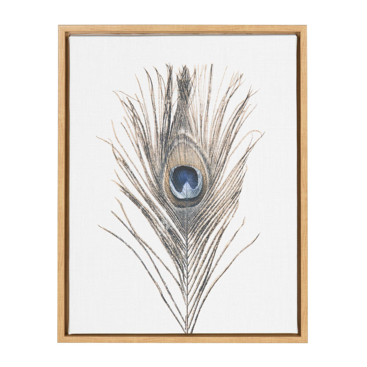 Sylvie Peacock Feather Framed Canvas by Simon Te showing a delicate peacock feather print in a gold frame