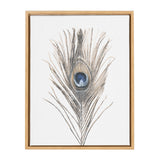 Single detailed peacock feather in natural browns and blues centered on a white canvas with a slim light wood frame.