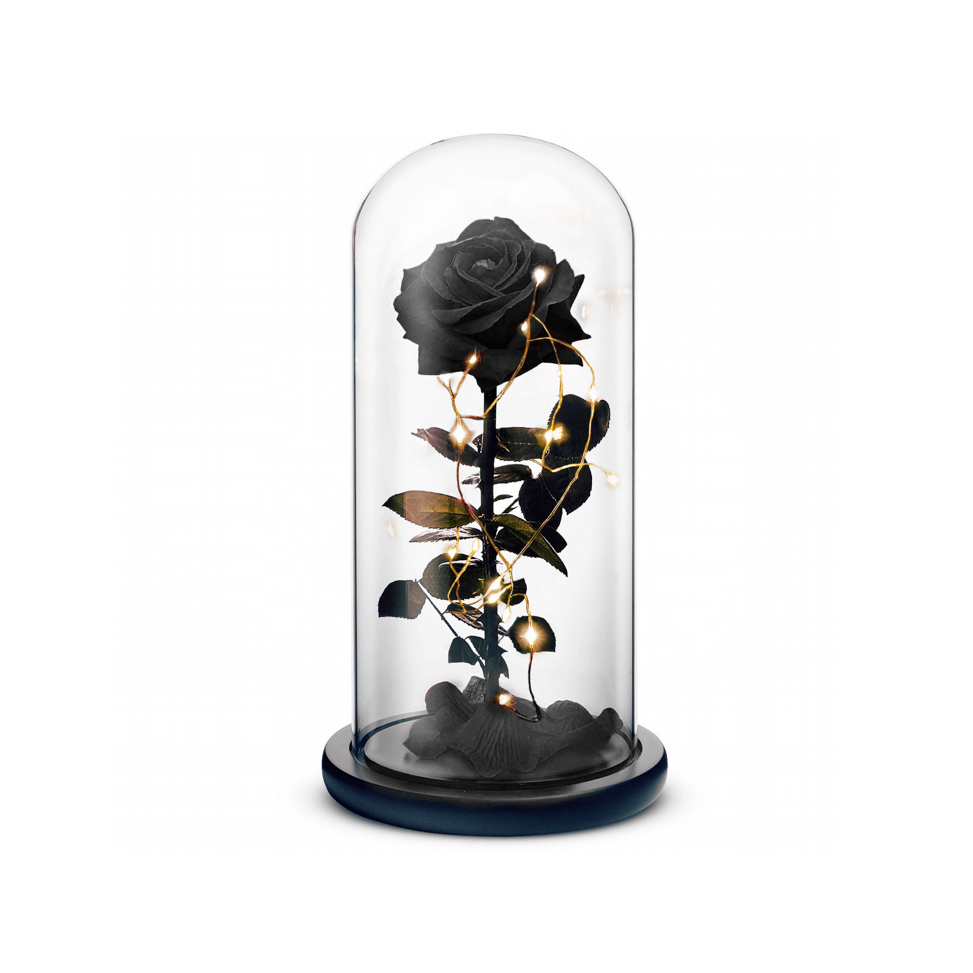 Beauty and The Beast Rose (Black) by ROSEPHORIA - main product image for Resin Society