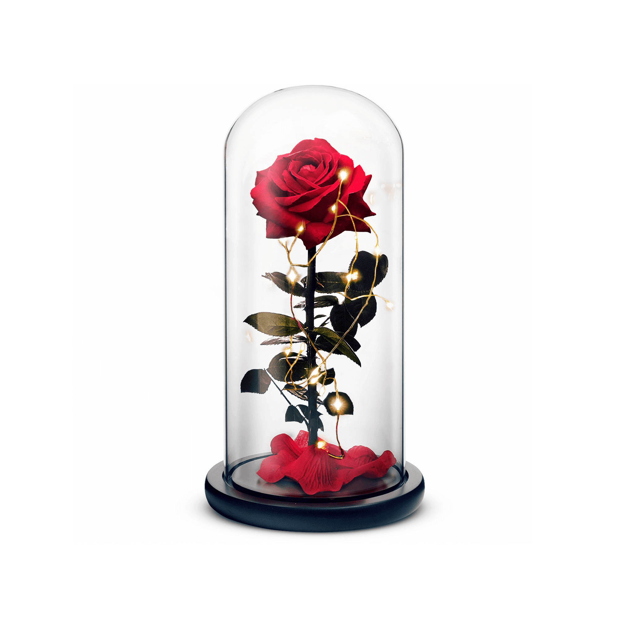 Beauty and The Beast Rose (Red) by ROSEPHORIA - main product image for Resin Society