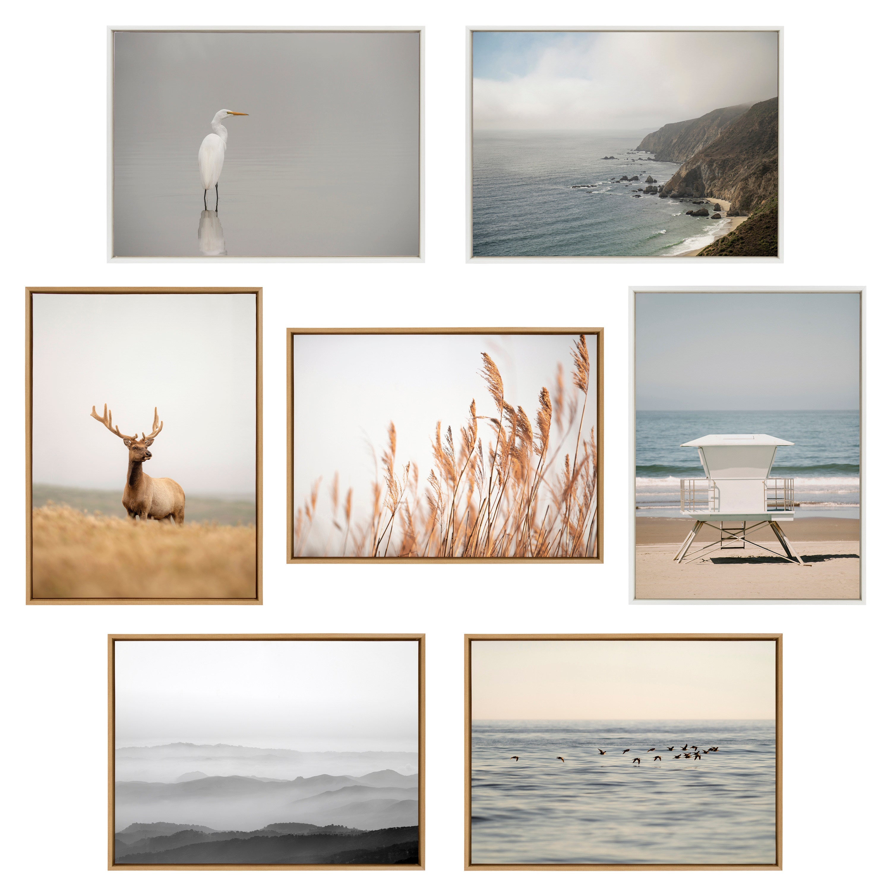 Sylvie Marsh Grass No 1 Framed Canvas by Crystal Lynn Collins
