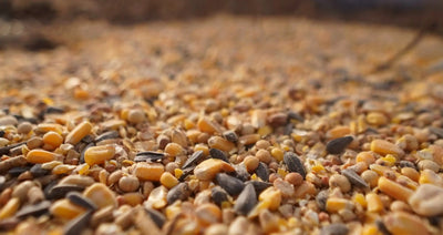 BIG TINE PLATINUM Deer Feed Blend