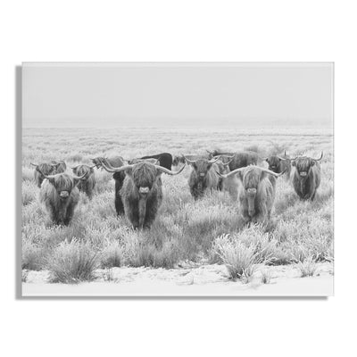 Herd of Highland Cows BW Floating Acrylic Art by The Creative Bunch by kateandlaurel - product image 2 for Resin Society