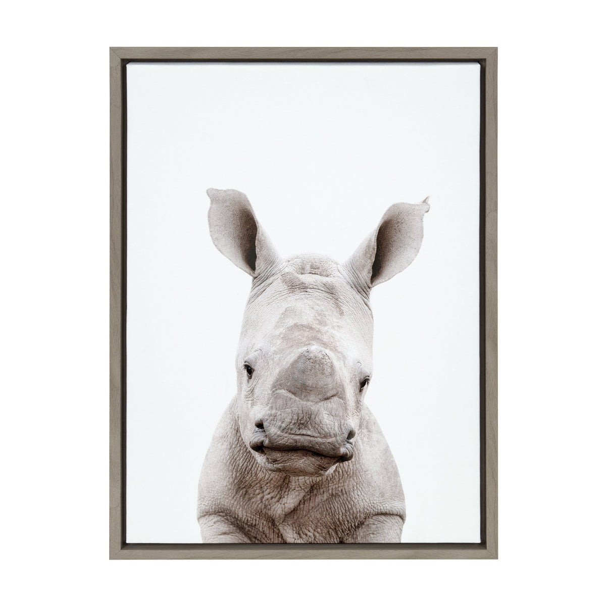 Close-up portrait of a baby rhinoceros facing forward with detailed skin texture and large ears, set against a plain white background in a simple gray frame.