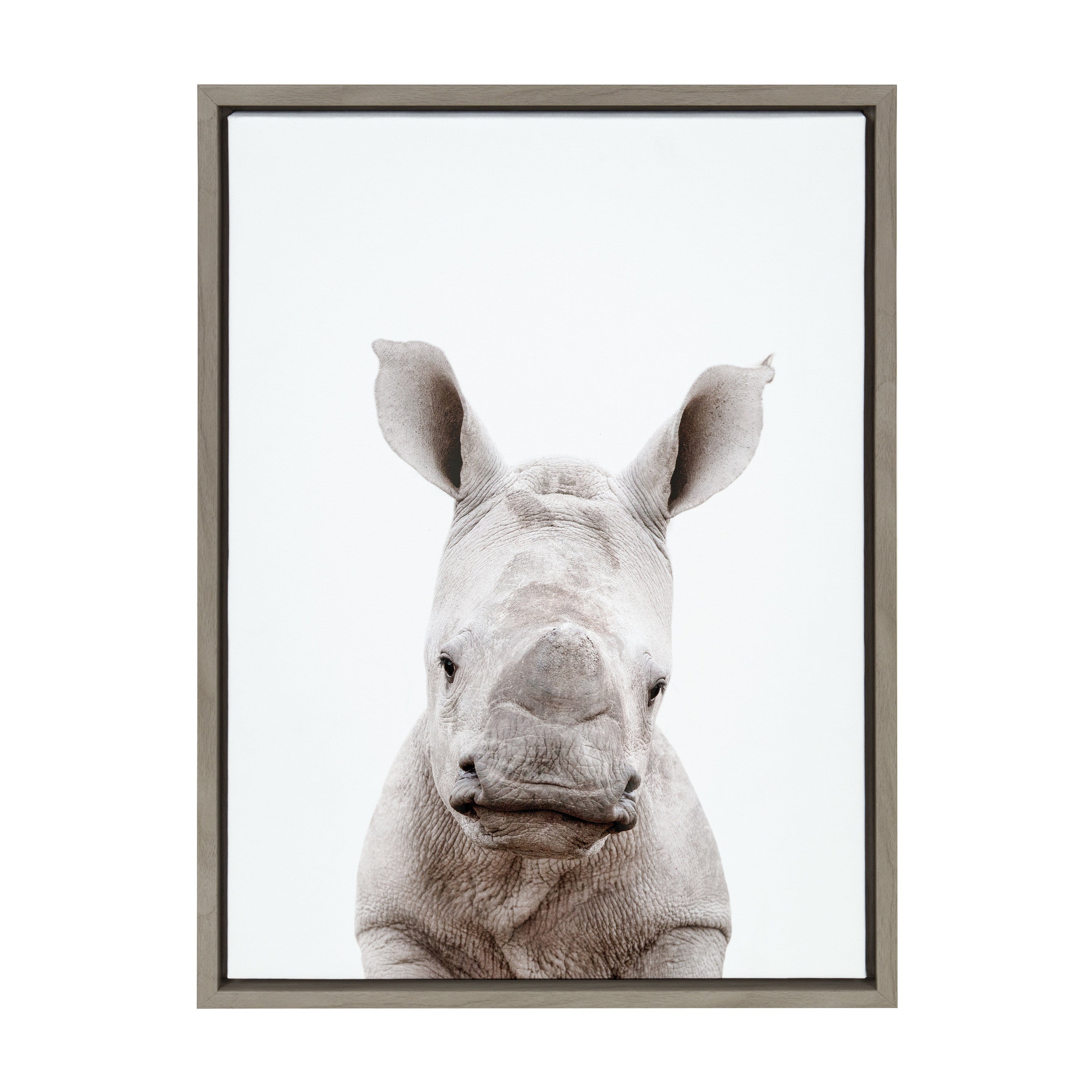 Sylvie Animal Studio Baby Rhino Framed Canvas by Amy Peterson Art Studio