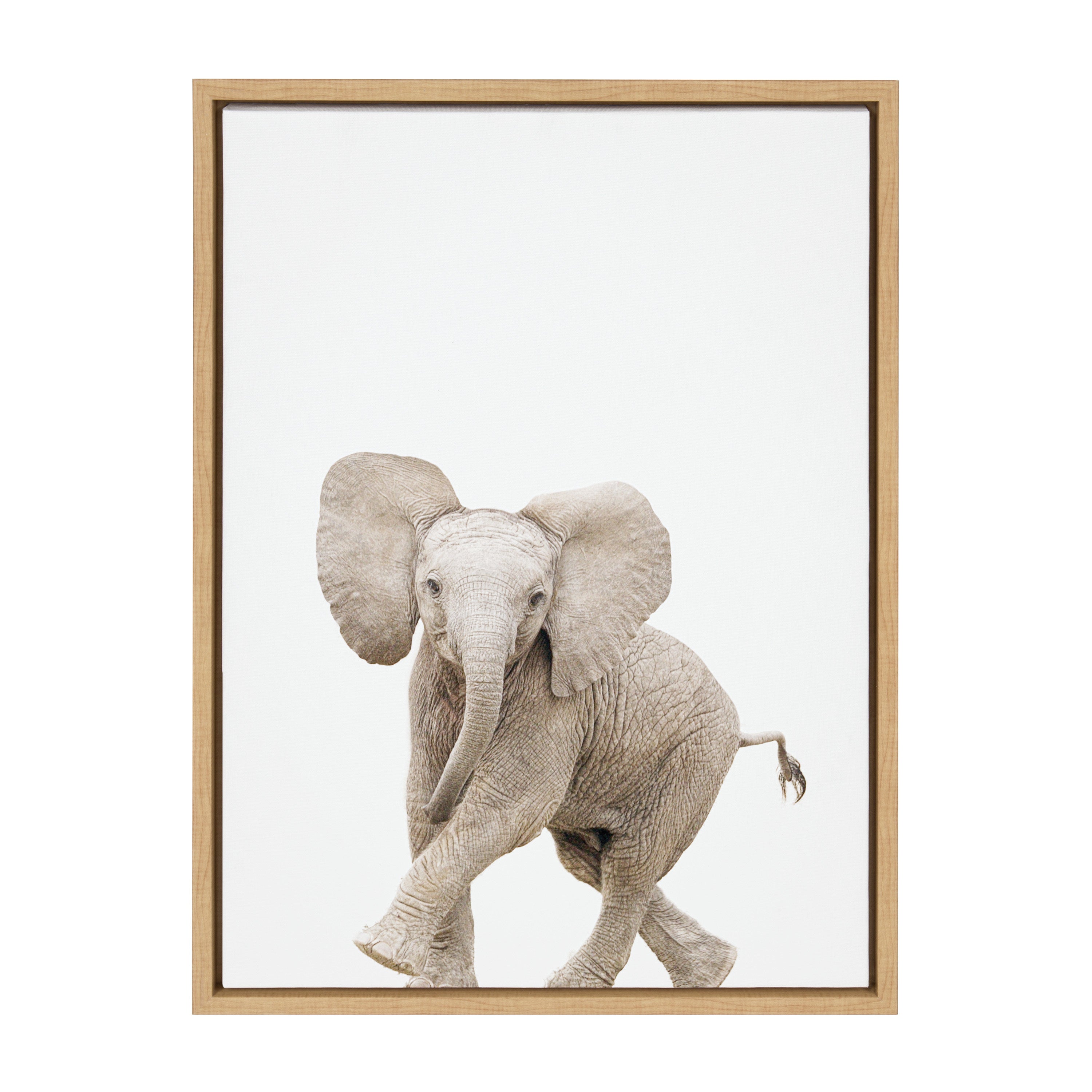 Sylvie Baby Elephant Walk Framed Canvas by Amy Peterson Art Studio