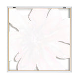 Close-up of a large pale pink flower with delicate petals, centered on a white background within a thin white frame.