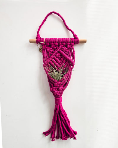 Macrame Air Plant Hanger by A Branch & Cord