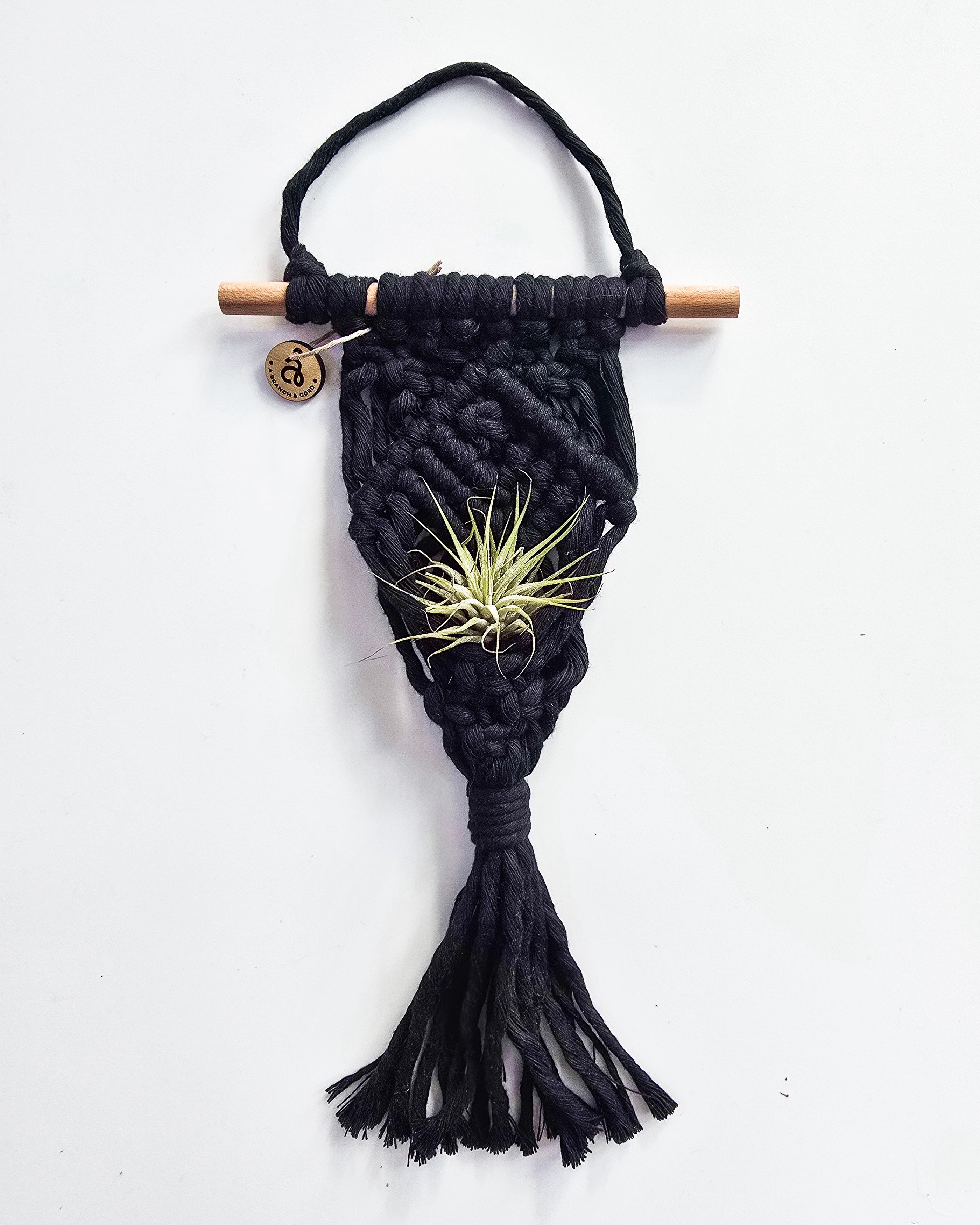Macrame Air Plant Hanger by A Branch & Cord