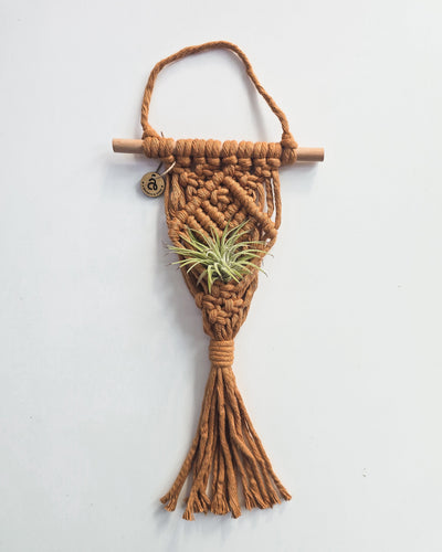 Macrame Air Plant Hanger by A Branch & Cord