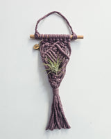 Purple macrame air plant hanger with diamond knot pattern, suspended from a wooden rod with a natural air plant nestled in the center and fringed tassels at the bottom.