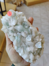 Hand holding a cluster of light green and white apophyllite crystals with distinct geometric shapes and translucent surfaces under natural light.