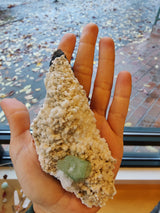 Hand holding a textured beige Mordenite crystal cluster with a pale green Apophyllite crystal embedded near the base, shown against a window with a leafy outdoor scene.