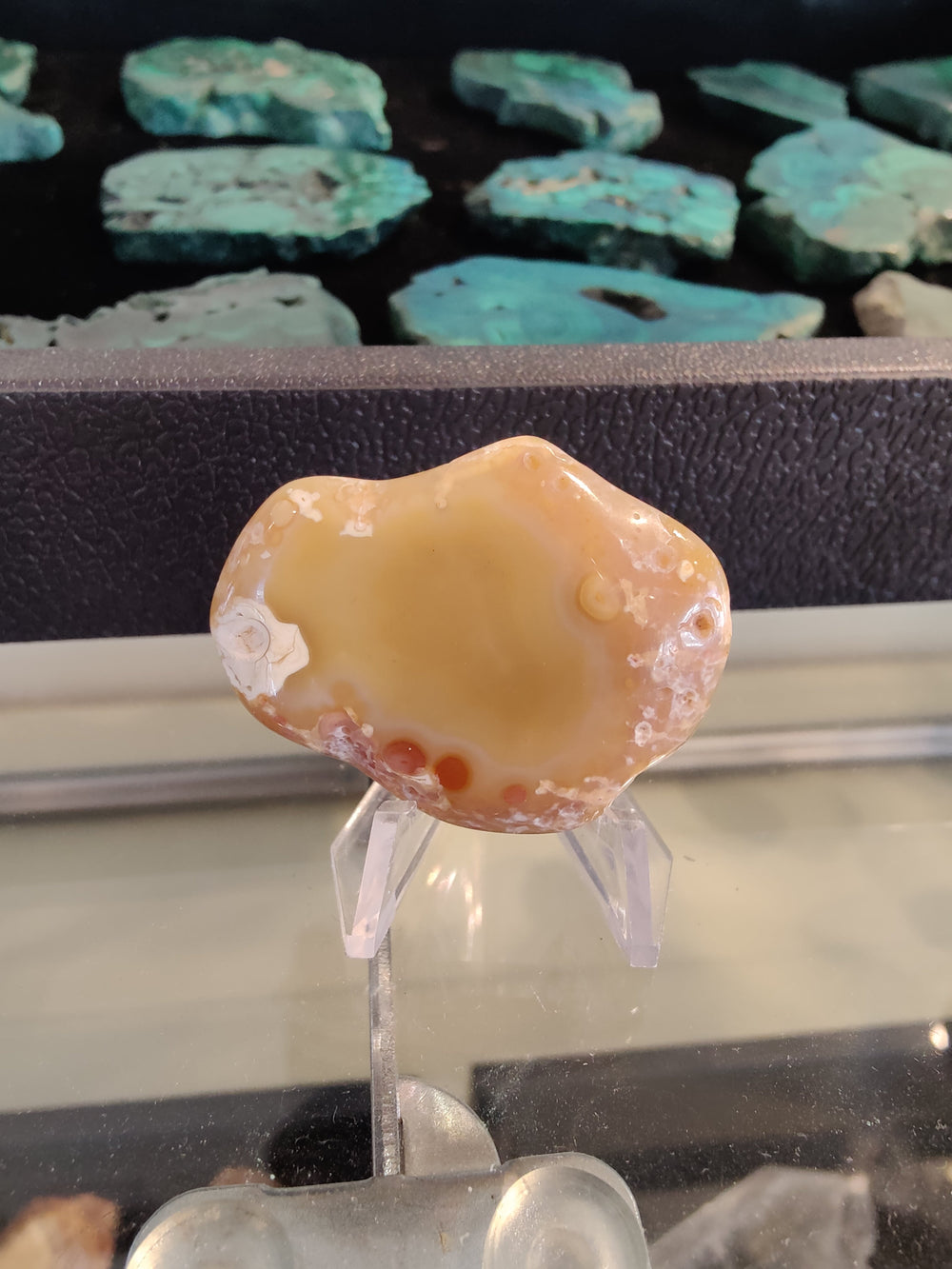 Polished yellow and beige agate slice with natural inclusions and patterns, displayed on a clear plastic stand with teal stone slices blurred in the background.
