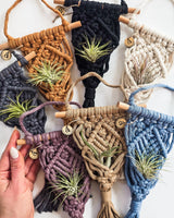 Six macrame air plant hangers in mustard, black, off-white, blue, taupe, and purple, each with a wooden dowel and an air plant, arranged in a circle.