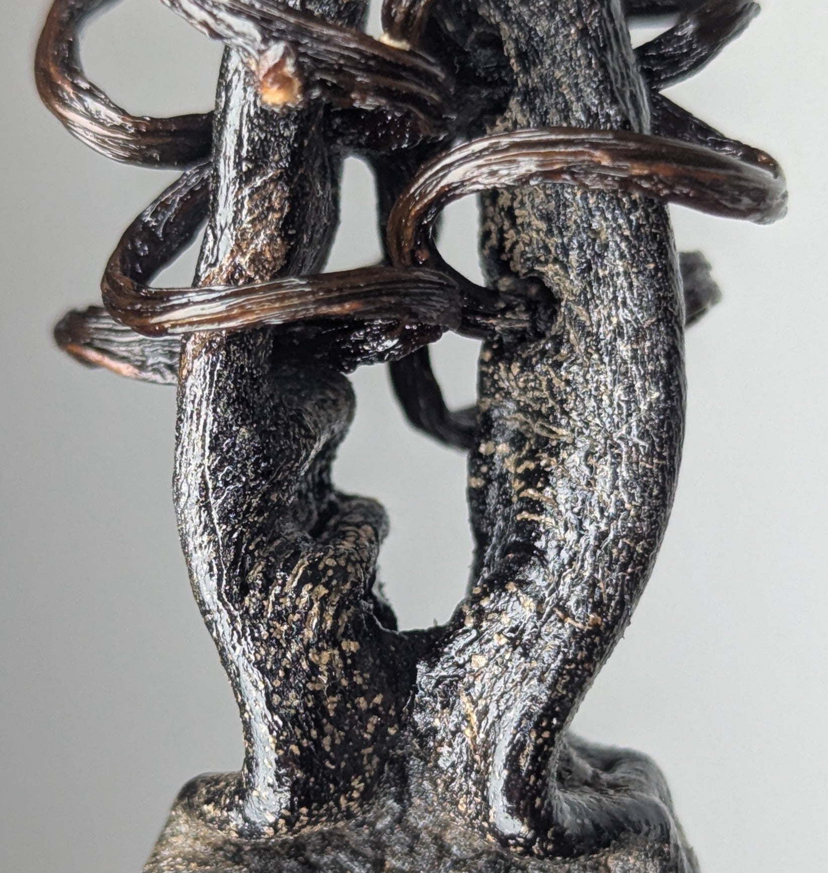 Padixa by Versiliy - product image 5 for Resin Society