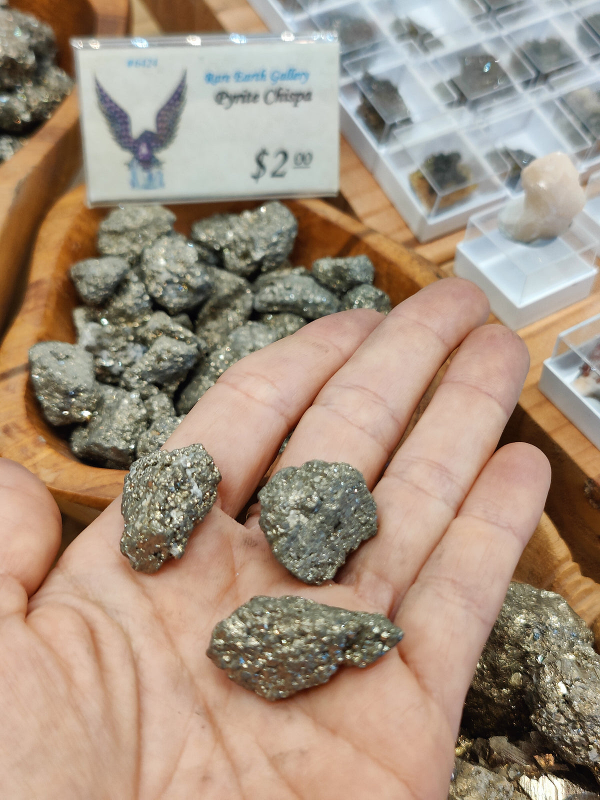 Hand holding three irregularly shaped pyrite mineral specimens with a metallic gold-gray color, displayed over a wooden tray with more pyrite rocks and a $2 price tag.