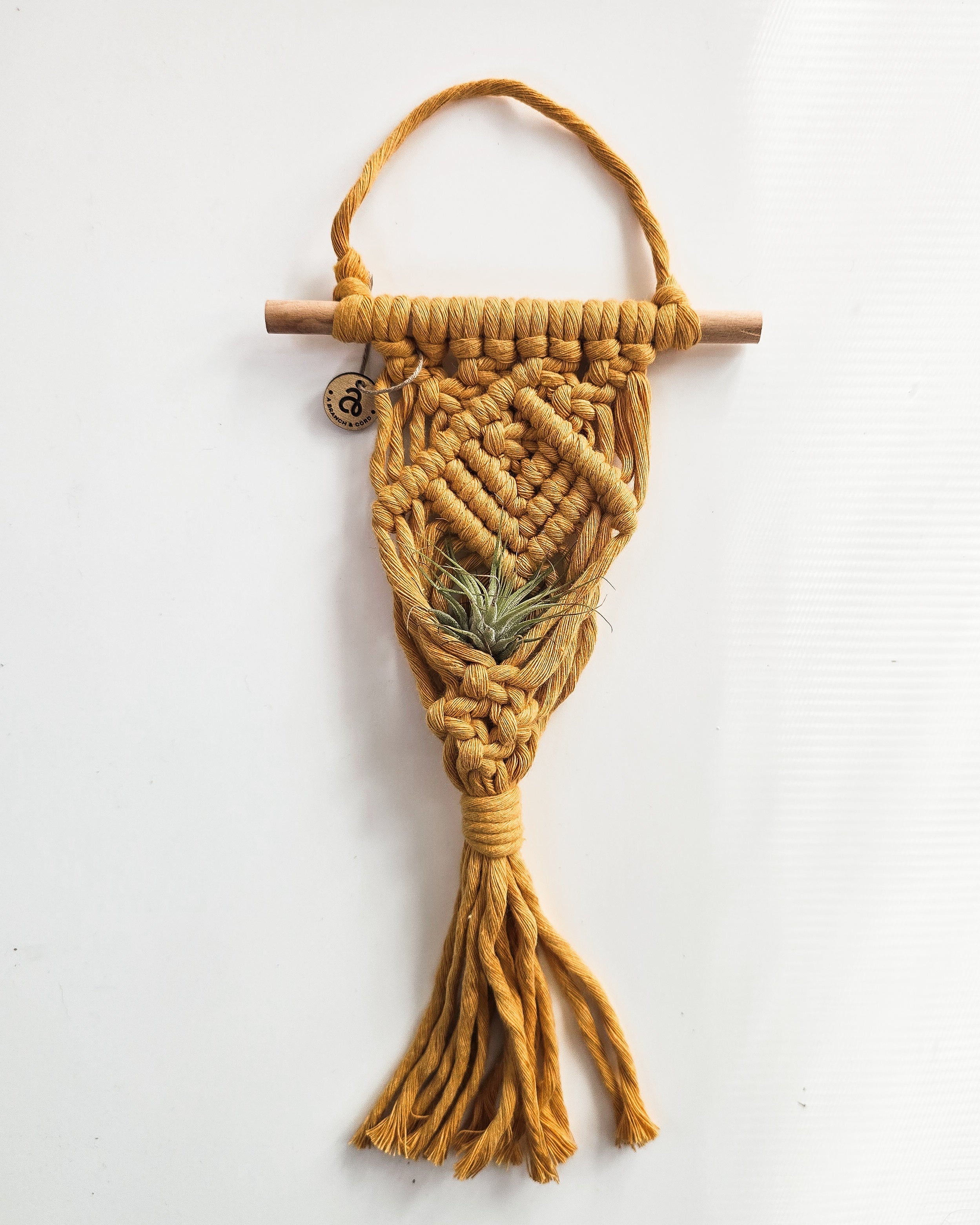 Macrame Air Plant Hanger by A Branch & Cord