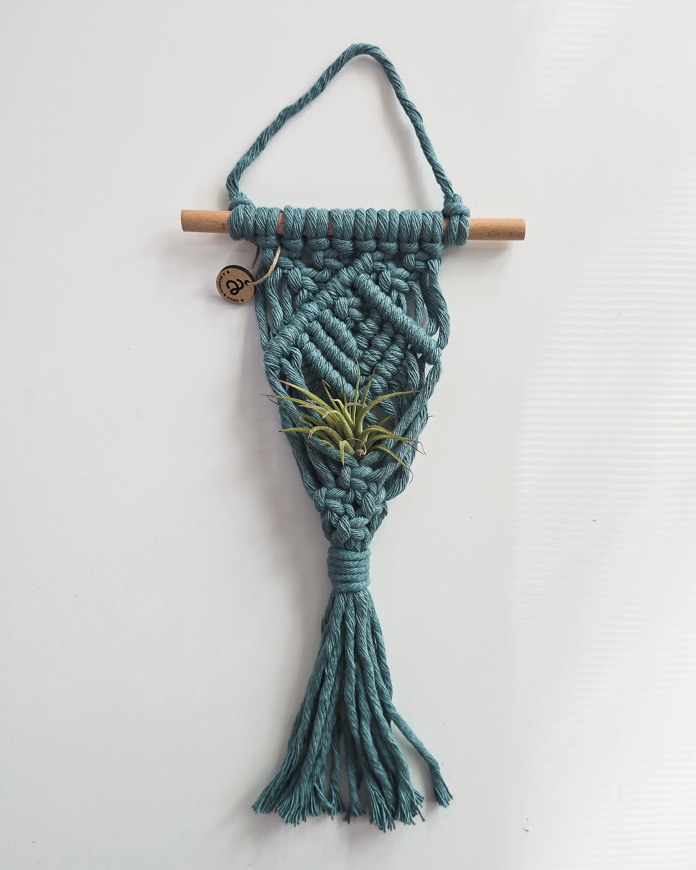 Macrame Air Plant Hanger by A Branch & Cord