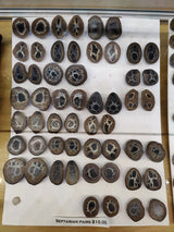 Multiple rows of polished septarian geode pairs displaying brown, black, and cream-colored mineral patterns on a white background with a sign reading 'Septarian Pairs $10.00.'
