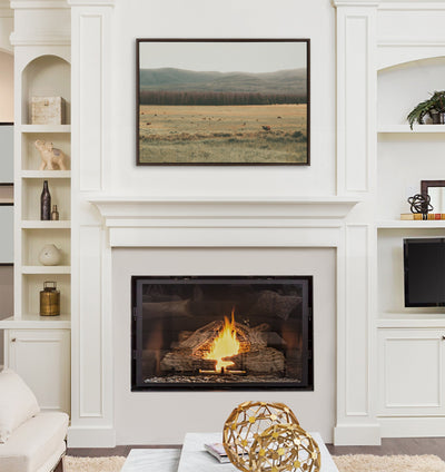 Sylvie AA On The Range Framed Canvas by Alicia Abla