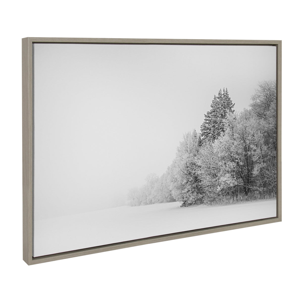 Sylvie Black and White Snow Day Framed Canvas by kateandlaurel - product image 2 for Resin Society