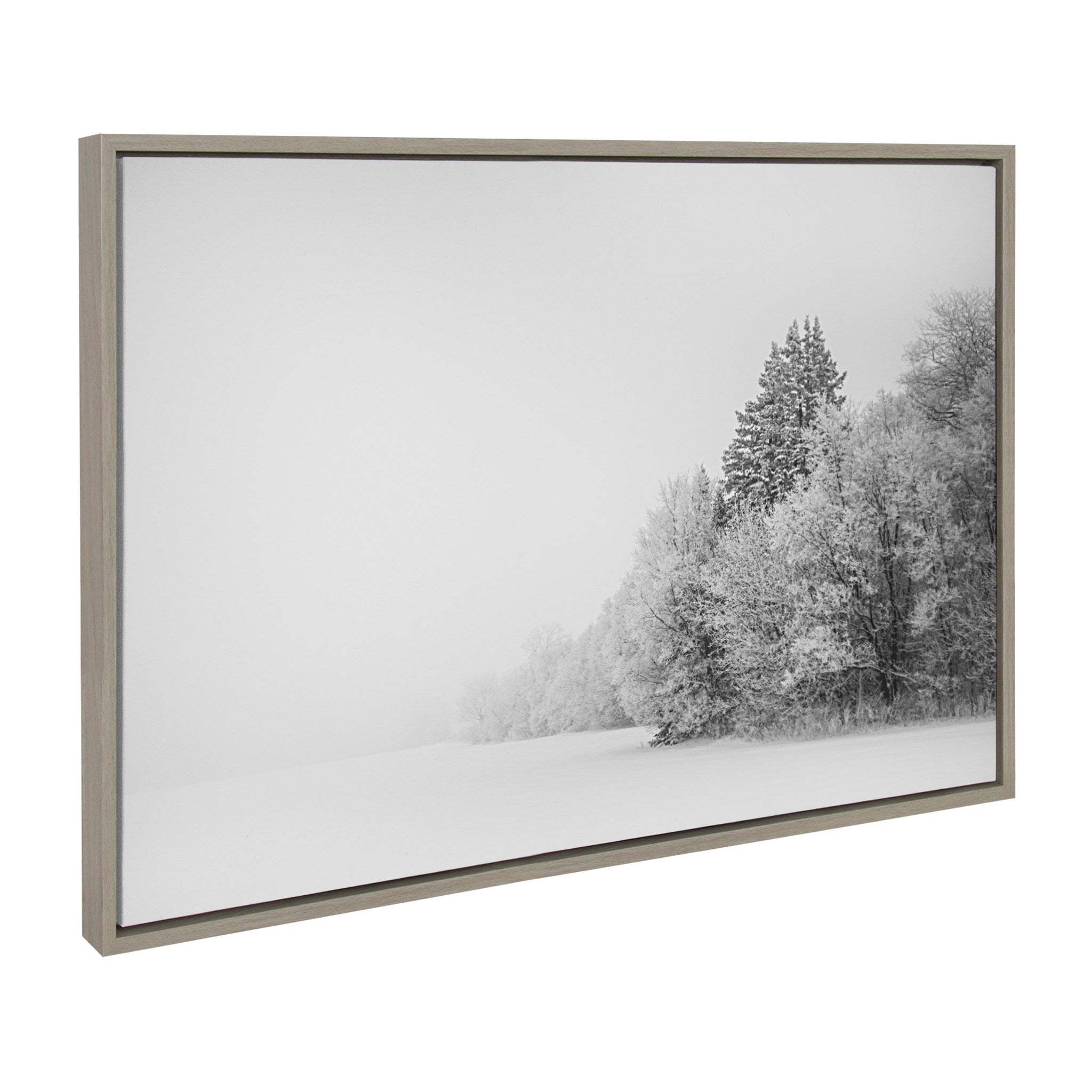 Sylvie Black and White Snow Day Framed Canvas by kateandlaurel - product image 2 for Resin Society