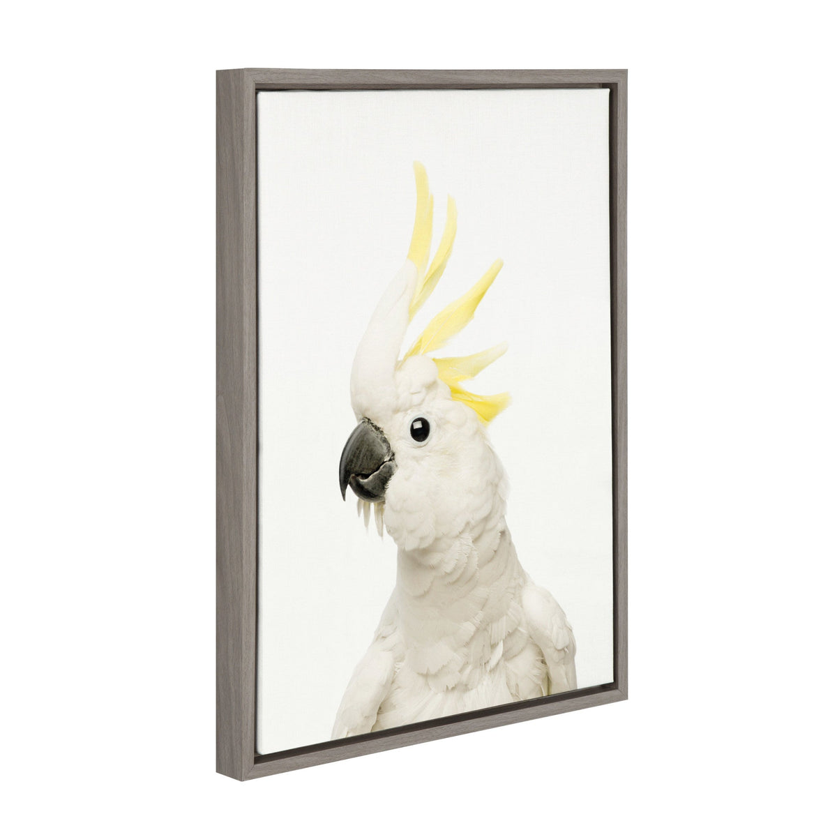 White cockatoo with yellow crest feathers looking to the side, displayed on a white canvas framed in a simple gray wooden frame.
